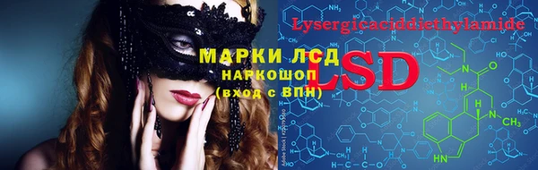 ПСИЛОЦИБИНОВЫЕ ГРИБЫ Алексеевка
