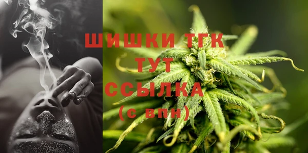 тгк Алзамай